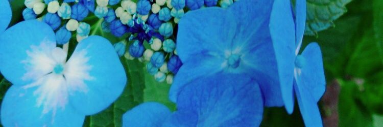 Unicode369's profile banner image