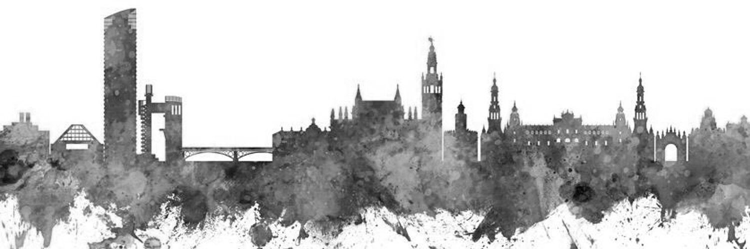 Sebas Gallardo banner