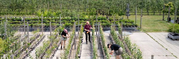 KU_PLEN Profile Banner