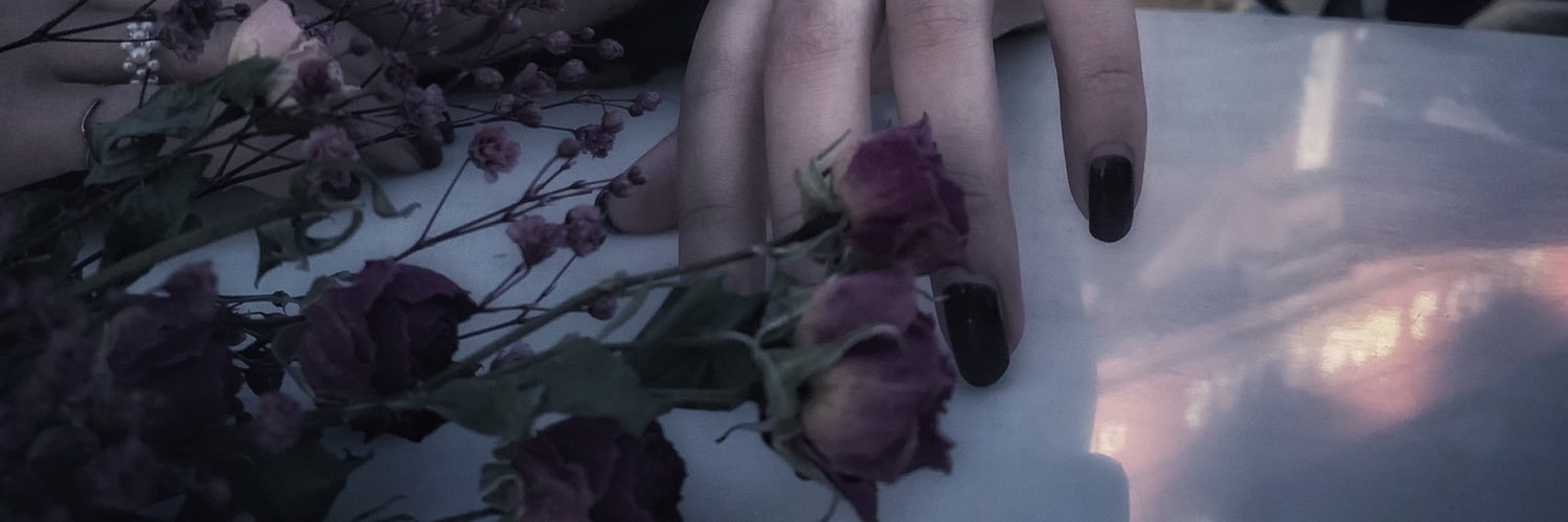 Cenicienta_x's profile banner image