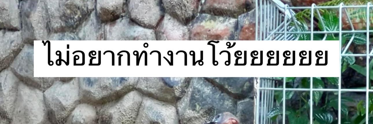 b banner