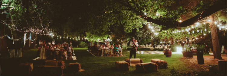 wheresmywedding's profile banner image