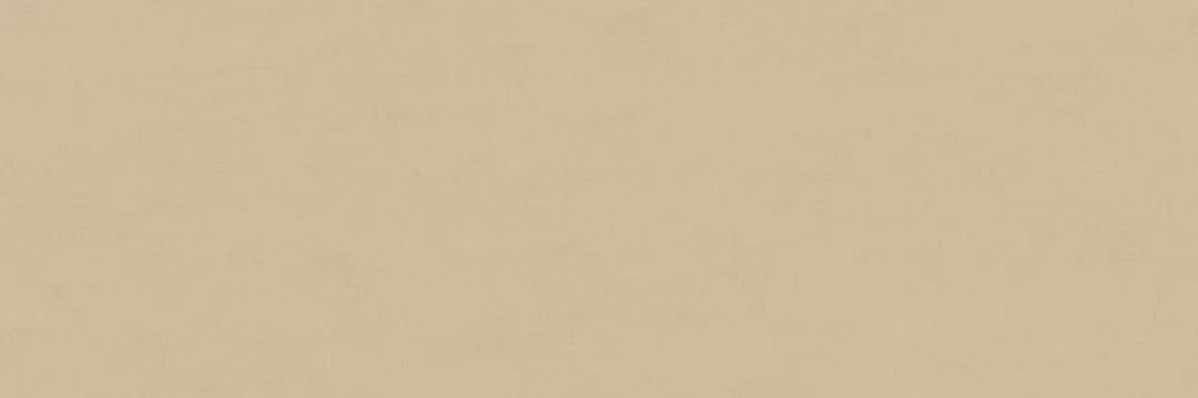 birmudile's profile banner image