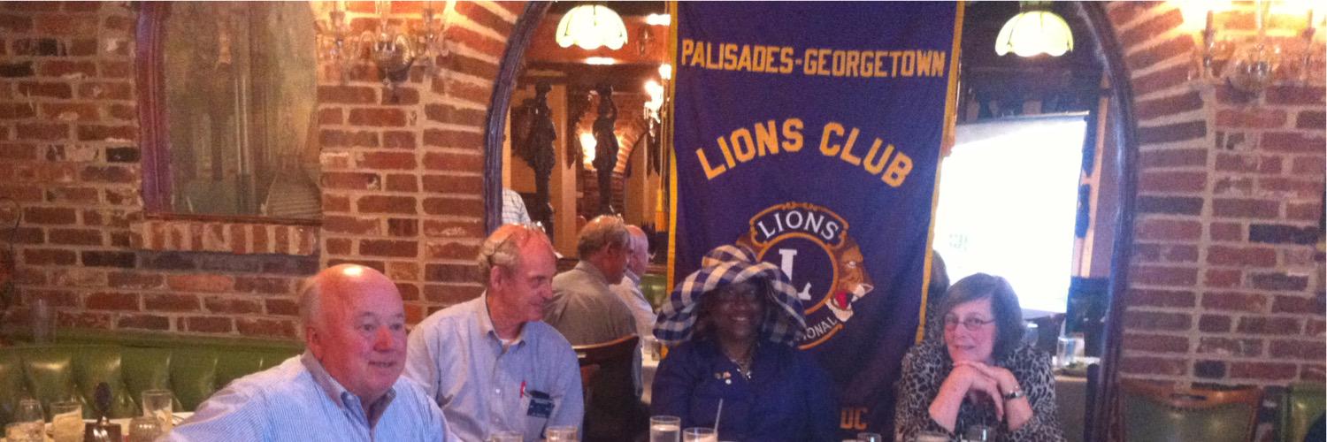 PalGLions's profile banner image