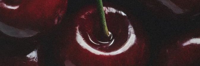 leeVmolina's profile banner image