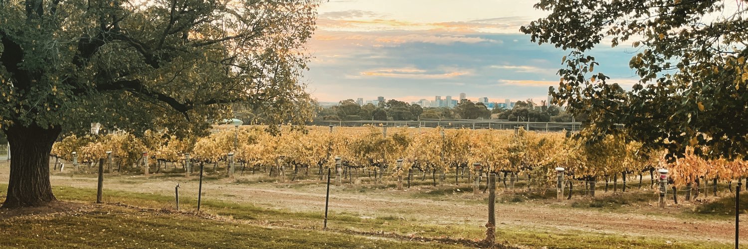 Matthew Moyle-Croft banner