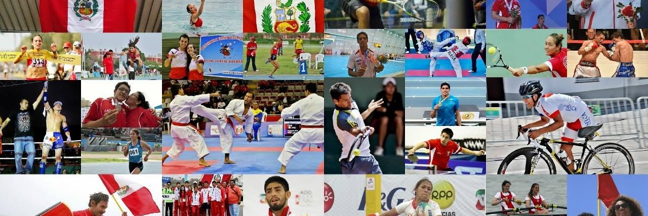 elpoliperu's profile banner image