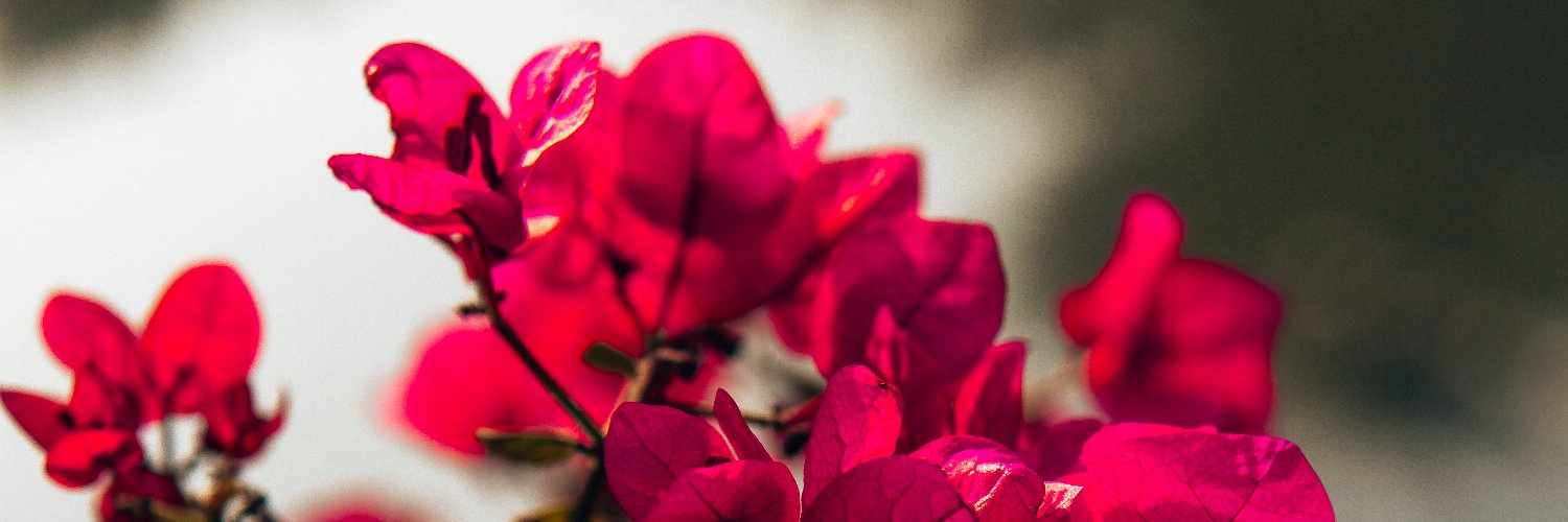 Apaaarnaaa's profile banner image