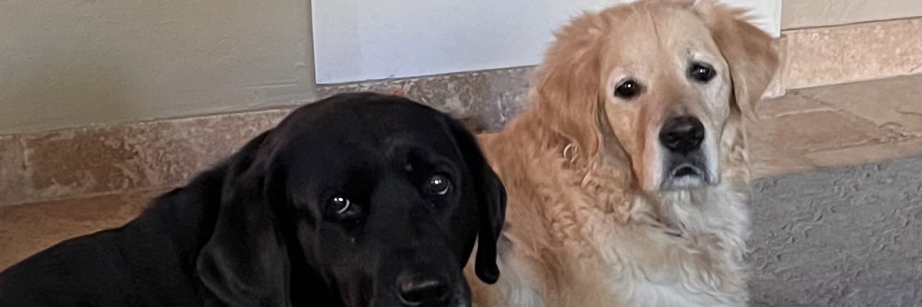 bigmacaz's profile banner image