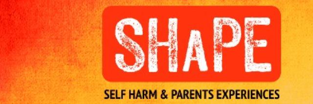 ShapeStudy's profile banner image