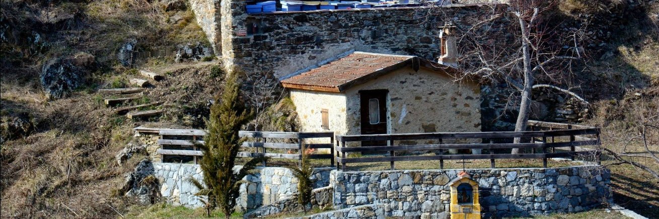 Killi__Toprak💙🐞🌻 banner