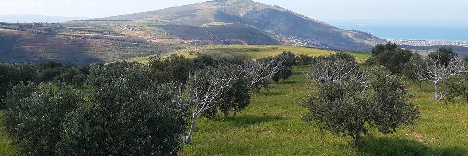 bilal_awkal's profile banner image