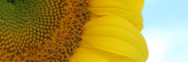 BaptistDancing Profile Banner