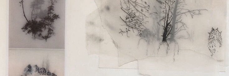 배이. banner