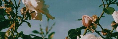 IndrinnaCha's profile banner image