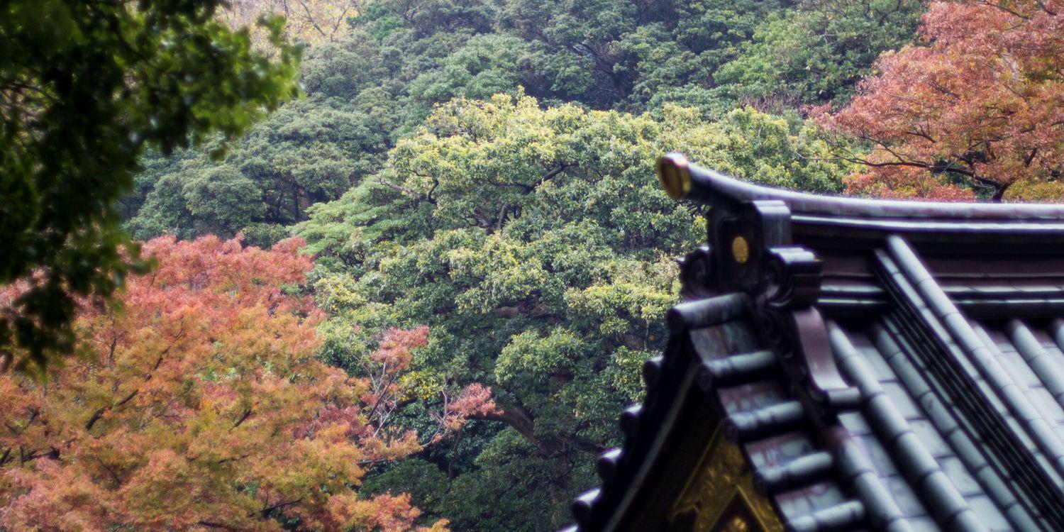 sinpi_na's profile banner image