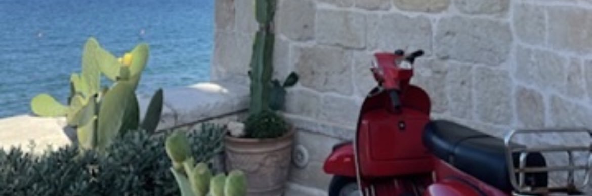 HettydeVogel's profile banner image
