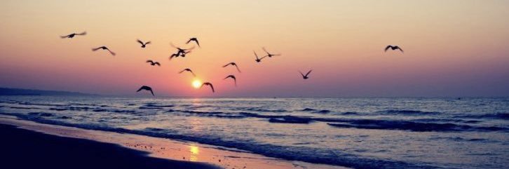 Rafa Caracuel banner