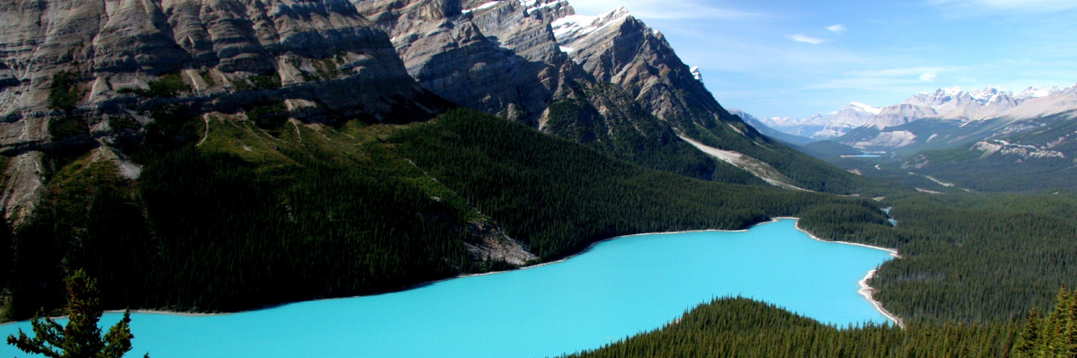 Geographers in Cambridge banner