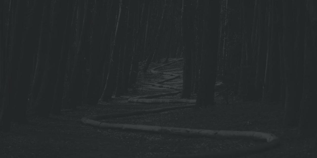 Synkio's profile banner image