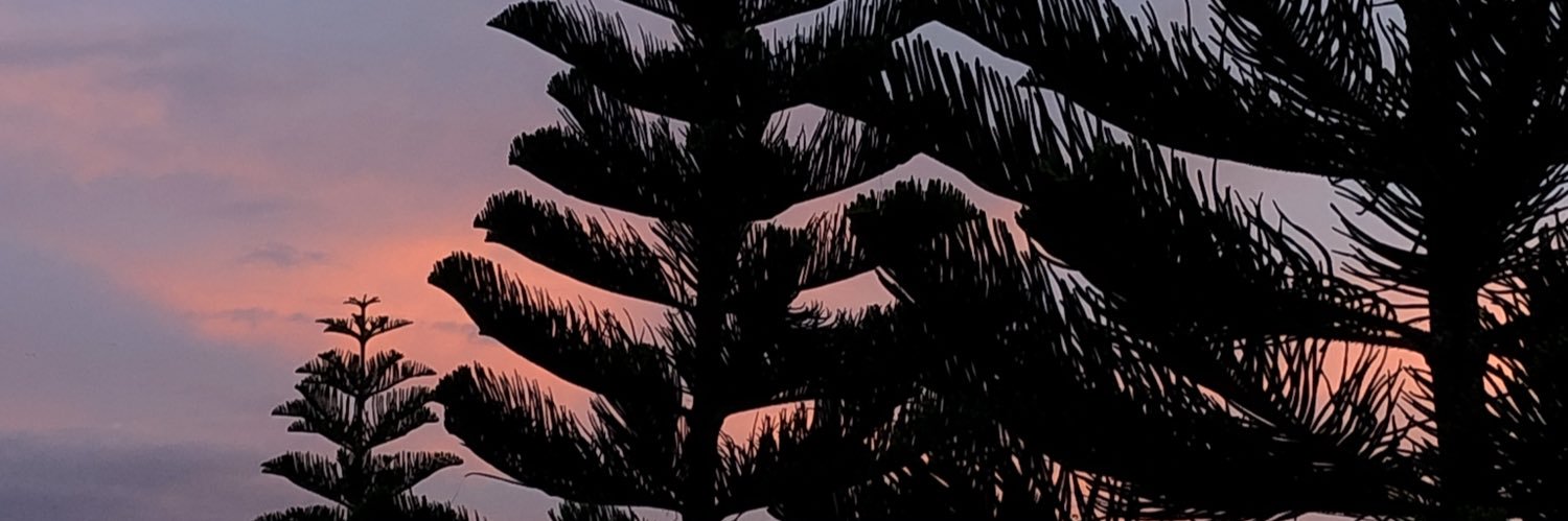 _sngp's profile banner image