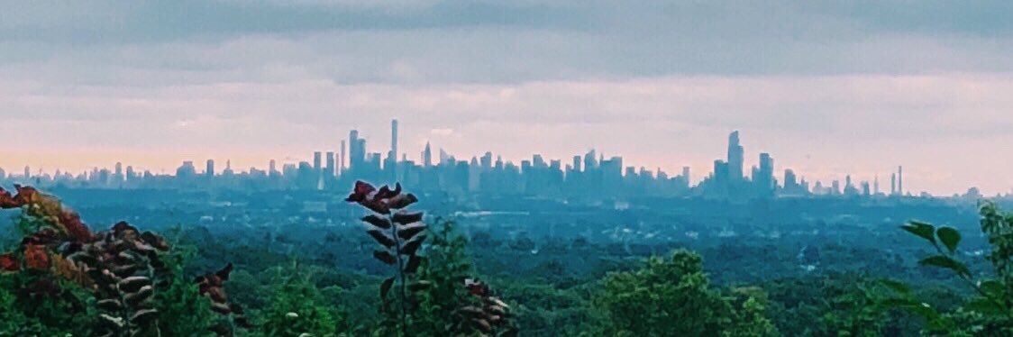 skulehouse's profile banner image