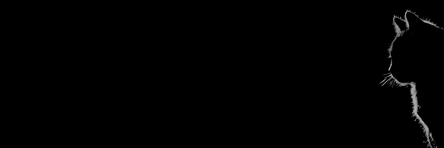 yawnzzsn's profile banner image