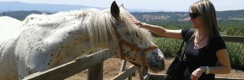 marta_terol's profile banner image