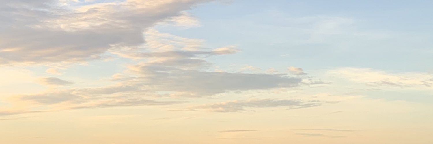 howtobefinee's profile banner image