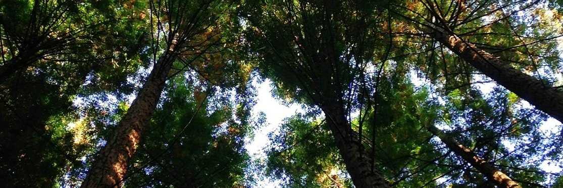 EmilyLeinbach's profile banner image