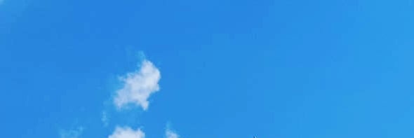 Harmstring's profile banner image