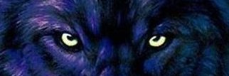 Straight Talking banner