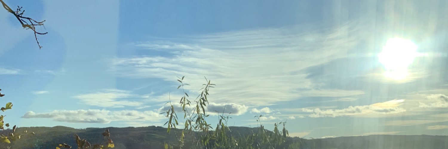 Dr Angie Ditchfield banner