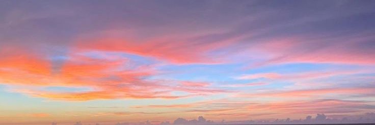 🌼 banner