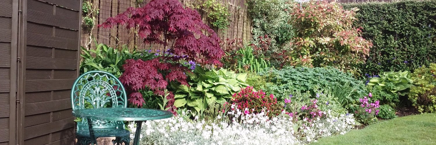 Professor Kay Currie banner