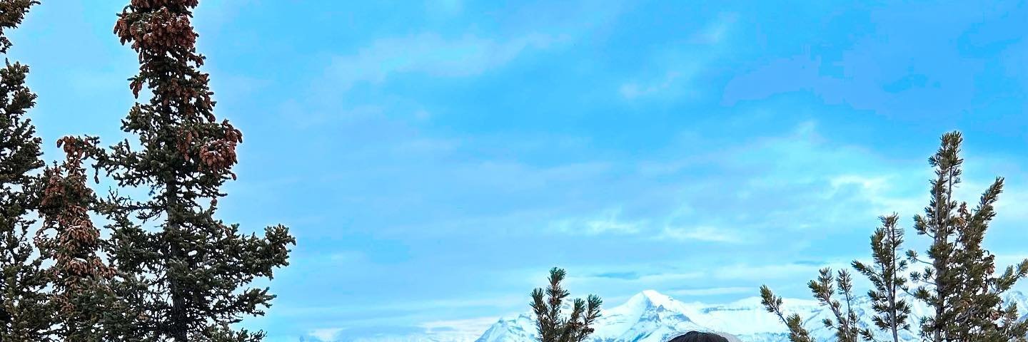 daserdre's profile banner image