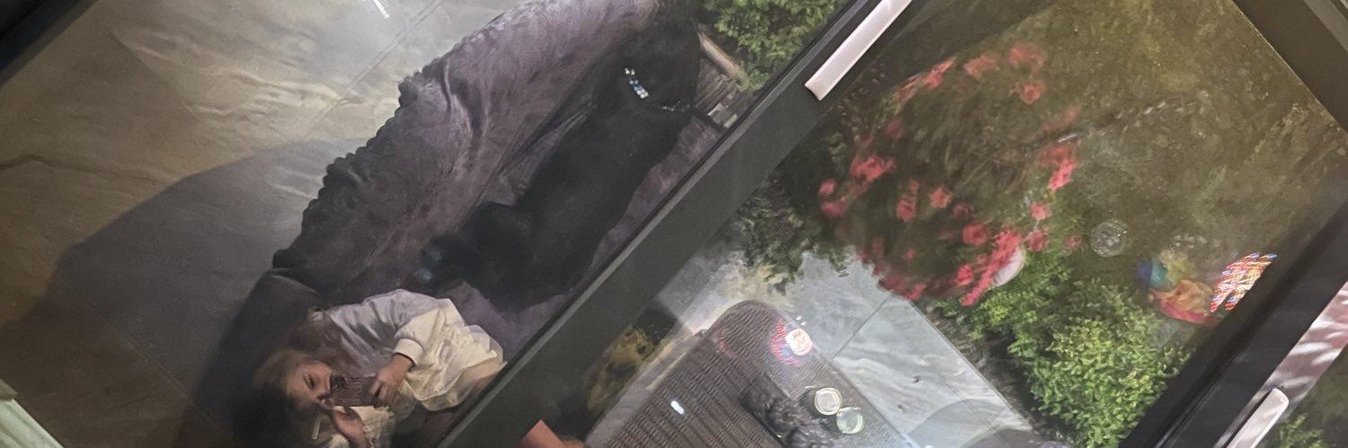 MelisaErgn's profile banner image