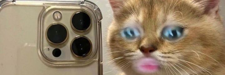itx_Ahmii banner