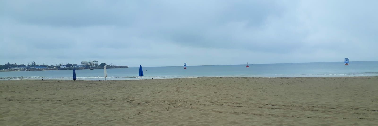 monica lopez f banner