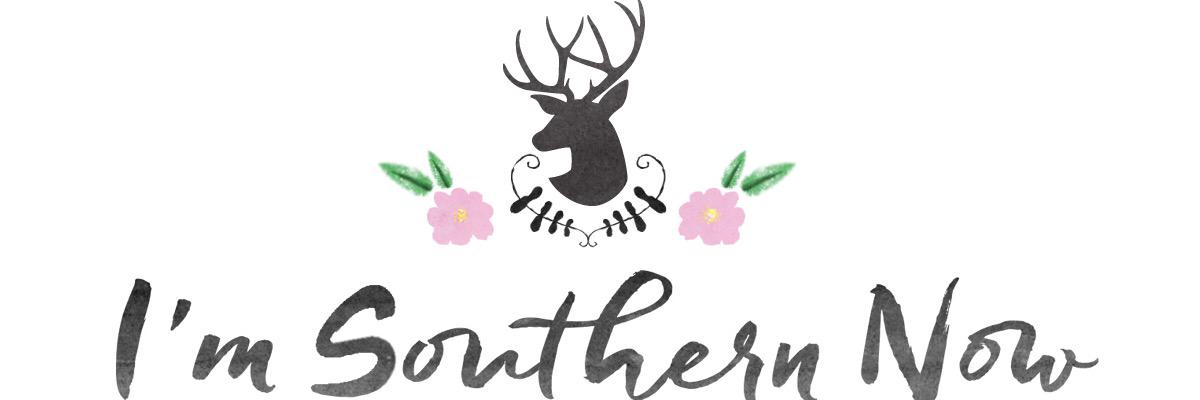 imsouthernnow's profile banner image