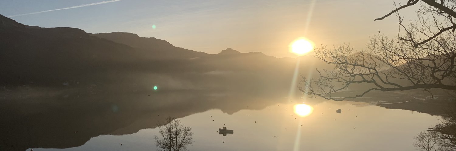 zoedon1's profile banner image