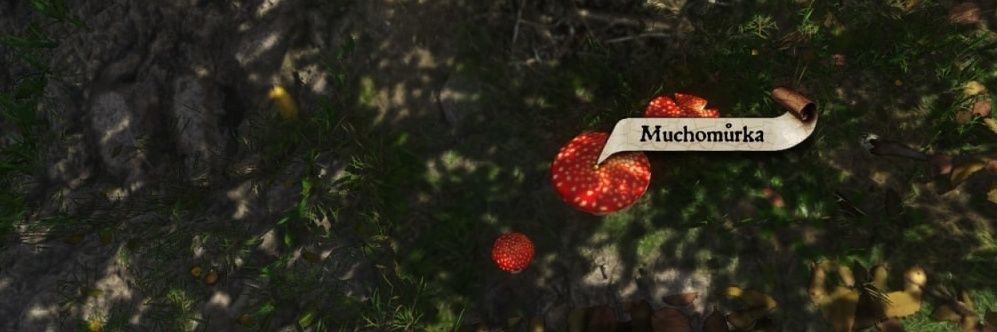lynx 🍄⚔️ banner