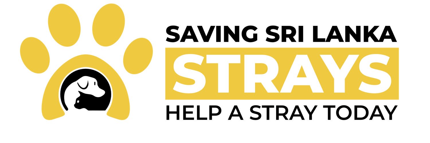 help_strays's profile banner image