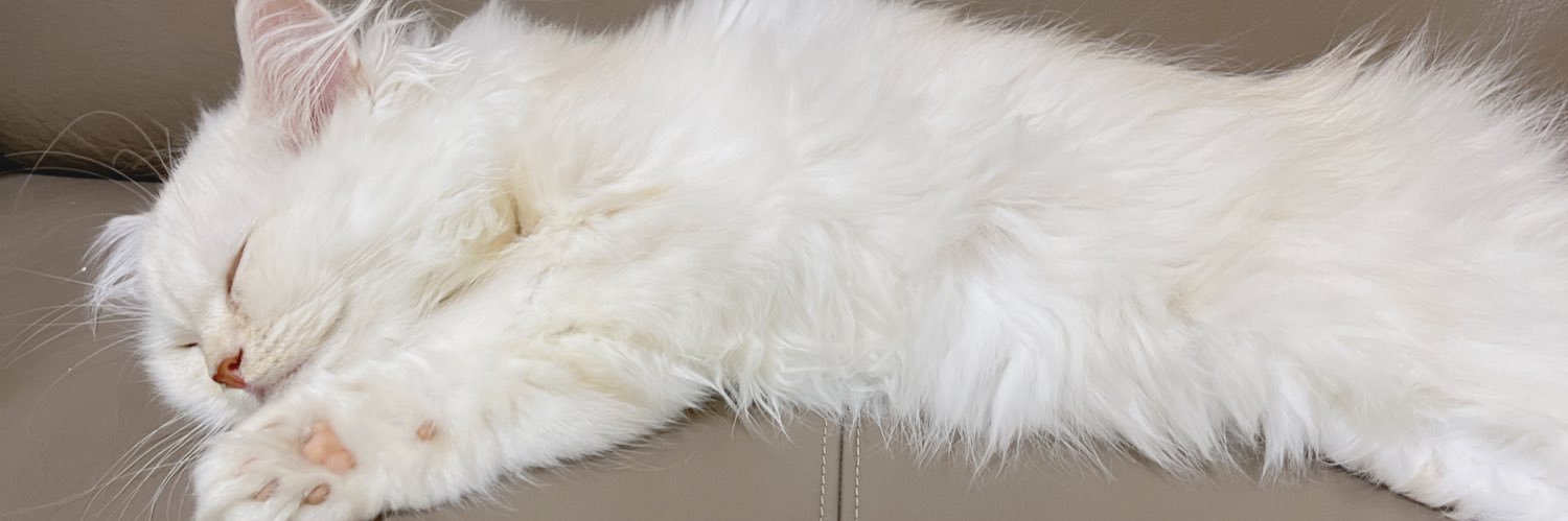 madowindowmado's profile banner image