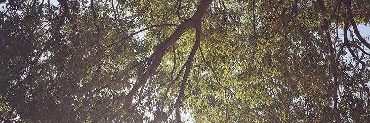 Bàrbara Blasco OE banner