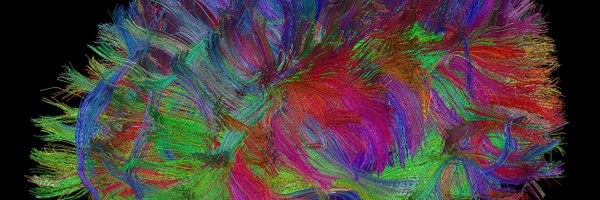 krsitek Profile Banner