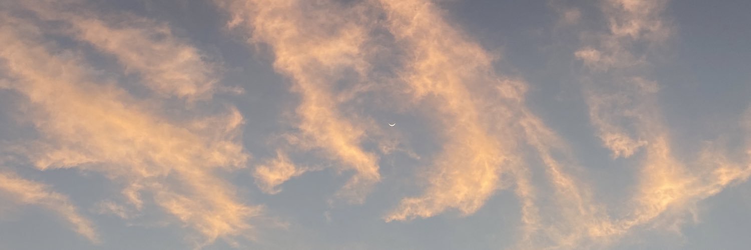 cookiejer's profile banner image