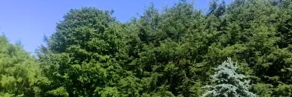 solliebtedi Profile Banner