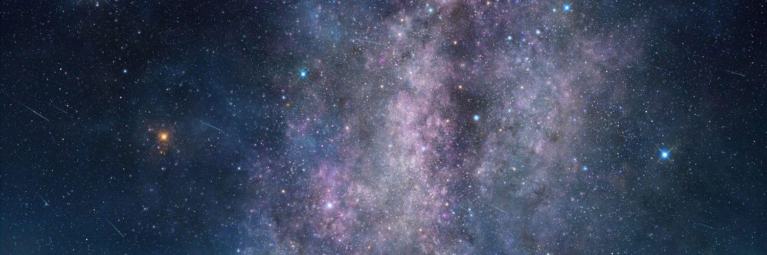 punkystrudel's profile banner image