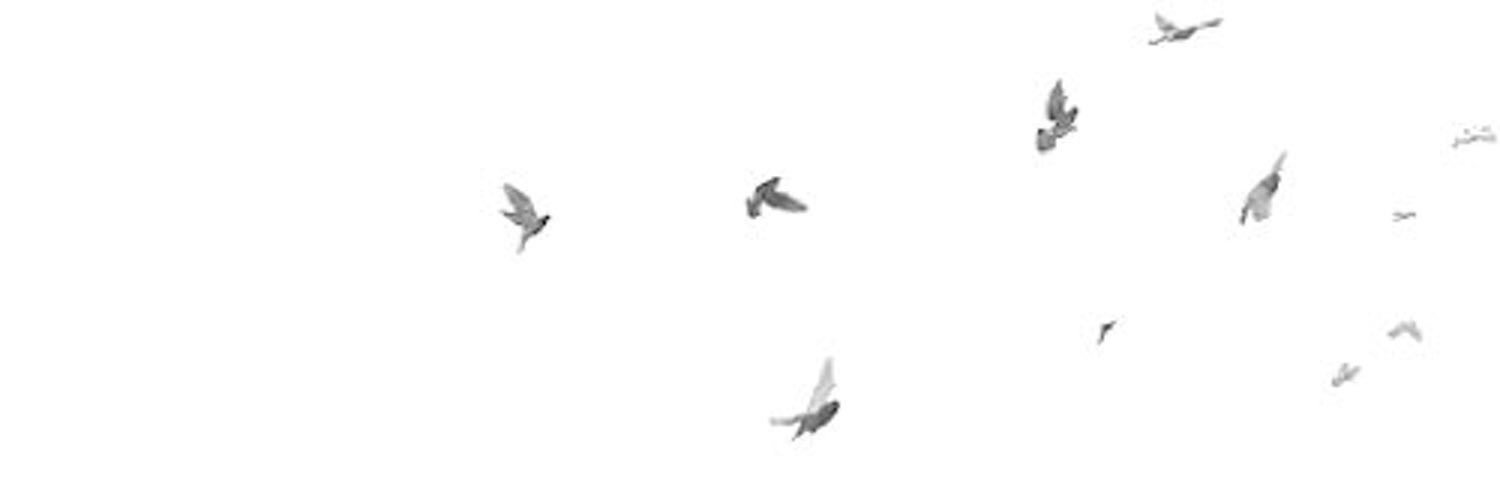 zook_'s profile banner image